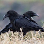 Ilse Kolo's photo