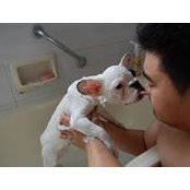 Phillip Lee's photo