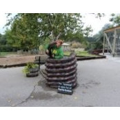Joni Bennett Hanson's photo
