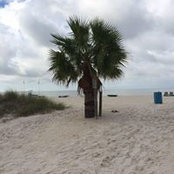 Carole Wehner's photo