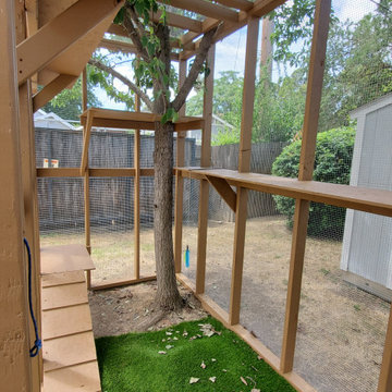 Custom Catio (Cat Patio)