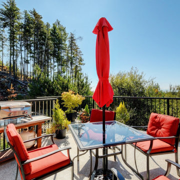 1499/1499B Trail Way - $1,695,000 – MLS Res 885121 / Com 885130