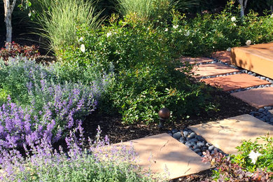 Design ideas for a contemporary landscaping in San Francisco.