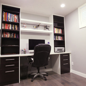 Cougar Ridge Close - Basement Project