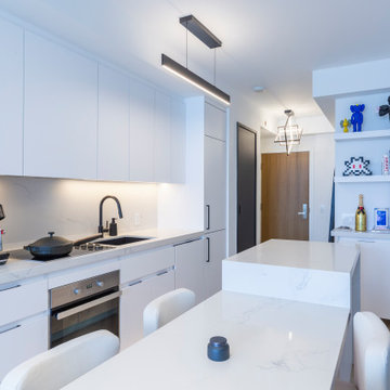 Modern Minimalist Urban Condo