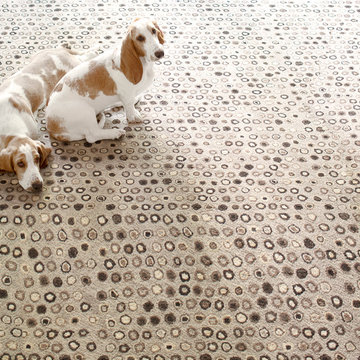 Dash & Albert Rugs