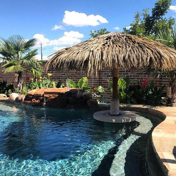 Stone Palapa (3 Years old)