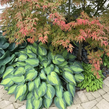 Residential Shade Garden
