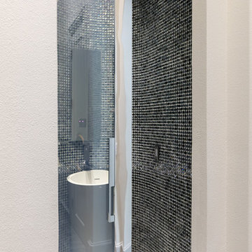 Contemporary Bath with Varying Opacity Door