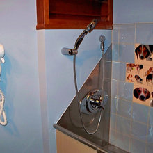 Dog bath