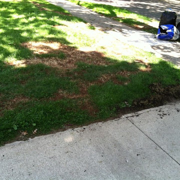 Zaccraya Cisse Spring Cleanup