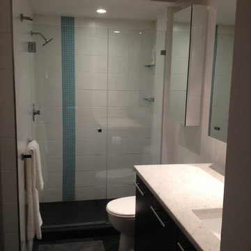 Nelson St. Condo Renovation