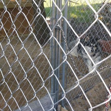 Dog Kennel