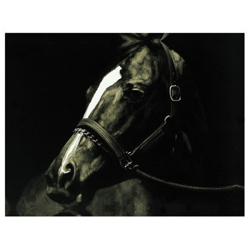 Wall Decor Painting Horse in the Dark VI