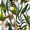 Strelitzia Green 32'x20.8" Wallpaper