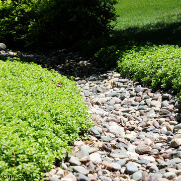 Natural Landscape - Dry Creeks