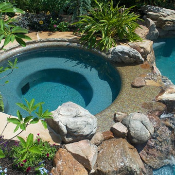 Backyard Oasis