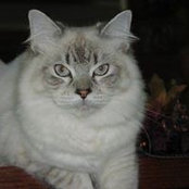 Janis Dayton's photo