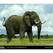 Andrea Van Houten's photo