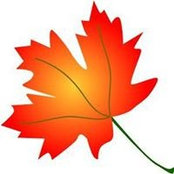 Dani Semenchuk's photo