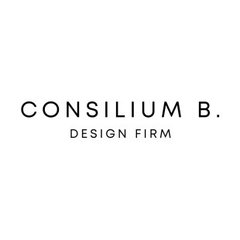 Consilium B LLC