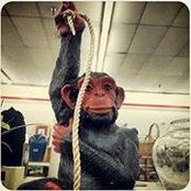 Jefferson McClure's photo