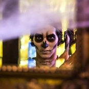 Teddy Morellec's photo