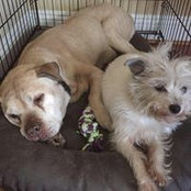 Matthew Miley's photo