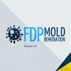 FDP Mold Remediation of Passaic