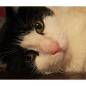 Laurie Stead's photo