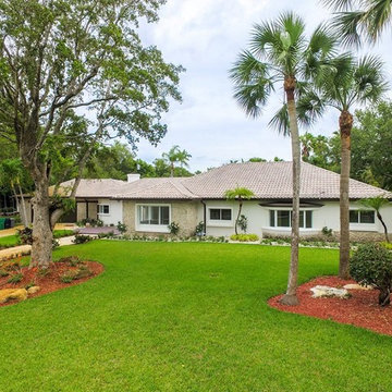 Unknown Jungle to Contemporary with Character