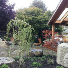 Garden-Courtyard-Landscping