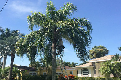 Inspiration for a mid-sized traditional full sun front yard landscaping in Tampa for spring.