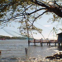 site