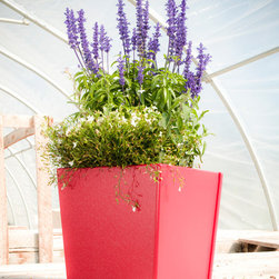 Tetra Small Planter - Products