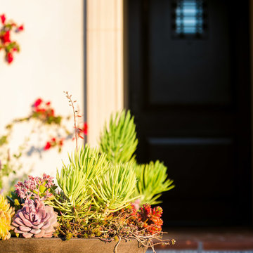 Spanish Courtyard