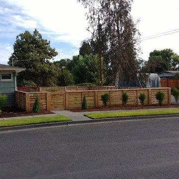 Mid Century Modern Custom Landscape Design