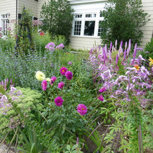 Hamlet Gardens