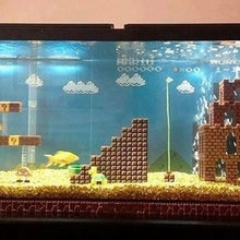Gaming House