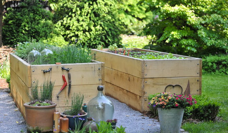 31 Dinge, die Sie jetzt im Garten erledigen können