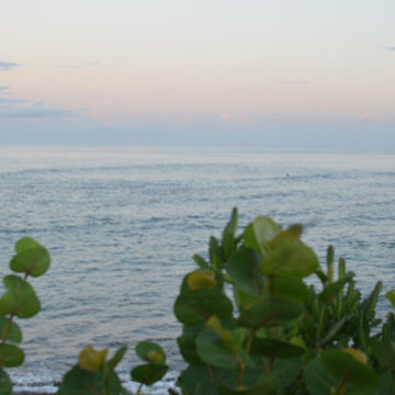 Tropical Oasis
