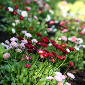 Plant Materials