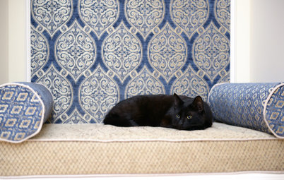 10 Tips for Keeping an Indoor Cat Happy
