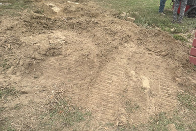 Stump removals