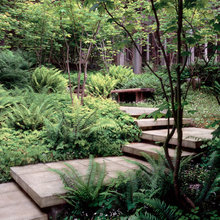porch and yard