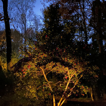 Chapel Hill Driveway