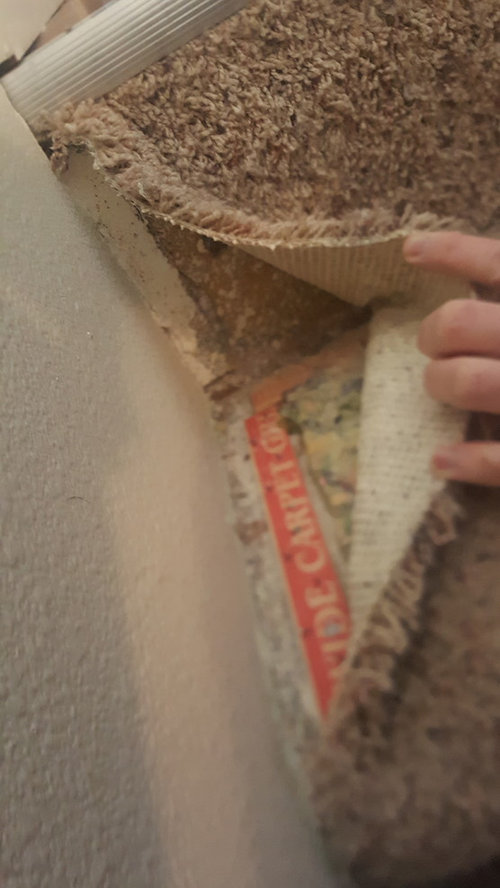 Advice needed before I rip up my carpet!