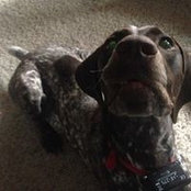 Laura Palma's photo
