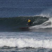 David Mintonさんの写真