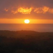 Charlene Shafer's photo